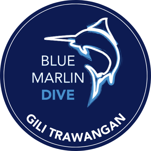 Blue Marlin Dive Gili Trawangan